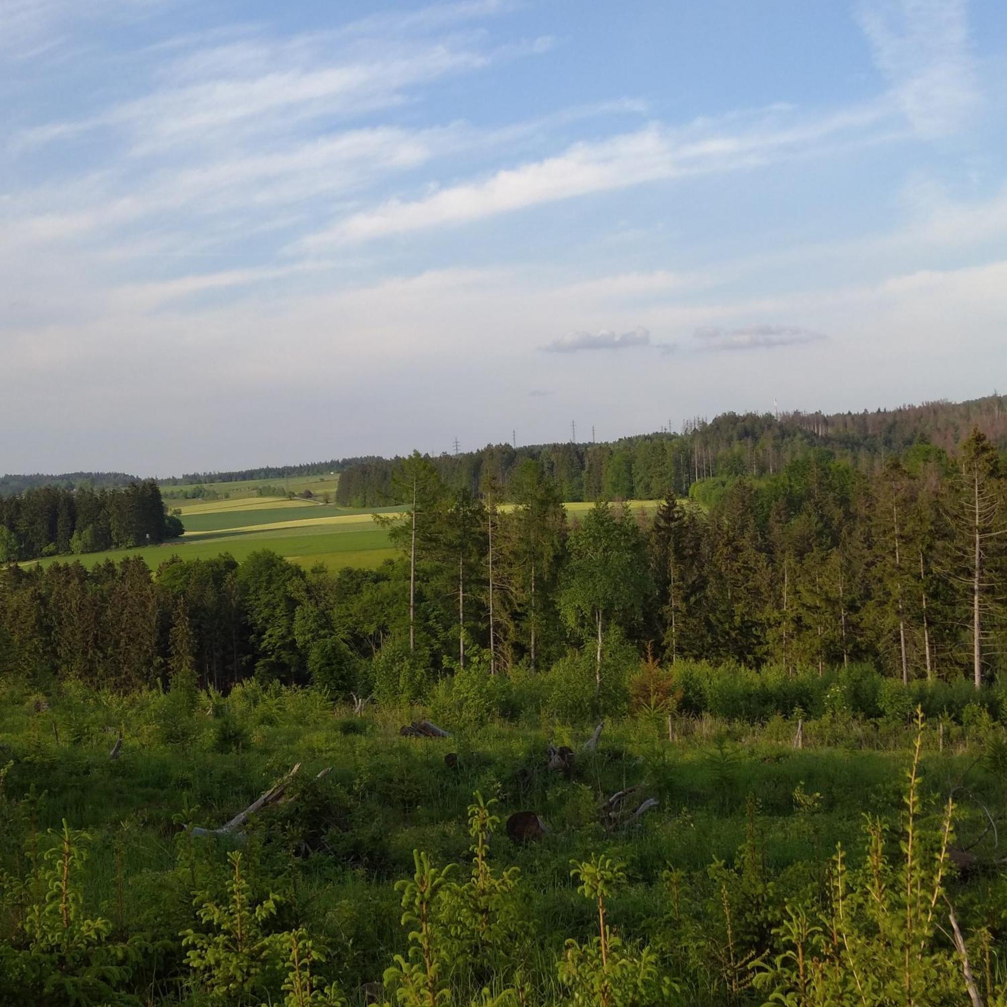Statek Bily Dvur - Bely Hotel Machov Kültér fotó