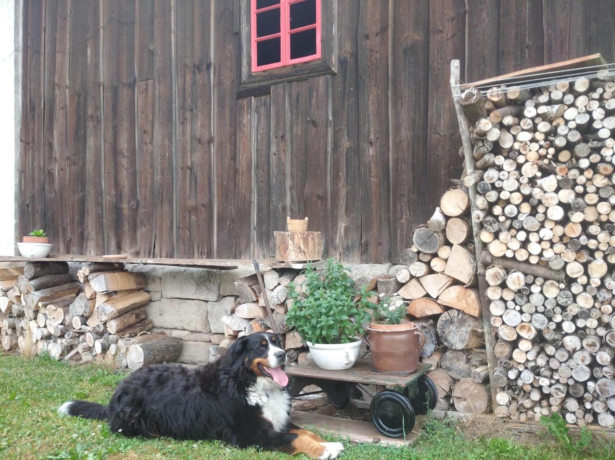 Statek Bily Dvur - Bely Hotel Machov Kültér fotó